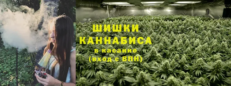 где продают   Ачинск  Конопля VHQ 